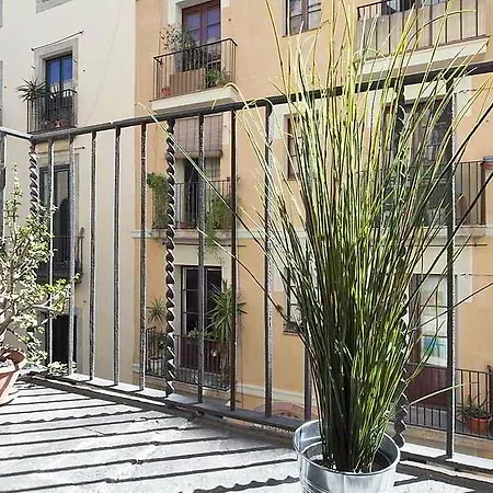 Inside Esparteria Apartman *